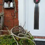 Ferienwohnung Hafen Rosi